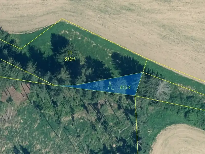Dražba lesa 185 m², Záboří – náhled fotky 2