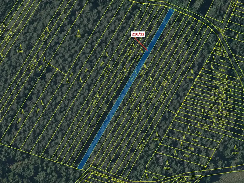 Dražba lesa 833 m², Břežany – náhled fotky 2