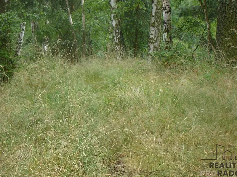 Prodej zahrady 2700 m², Krušovice – náhled fotky 3