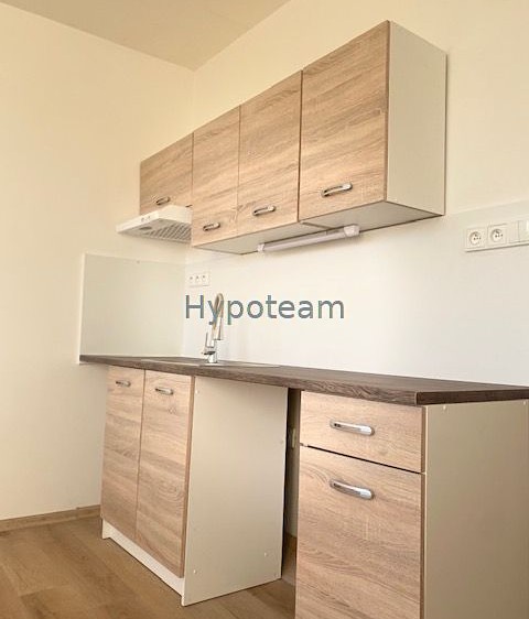 Квартира 1+kk в оренду, 20 м² (9 з 14)