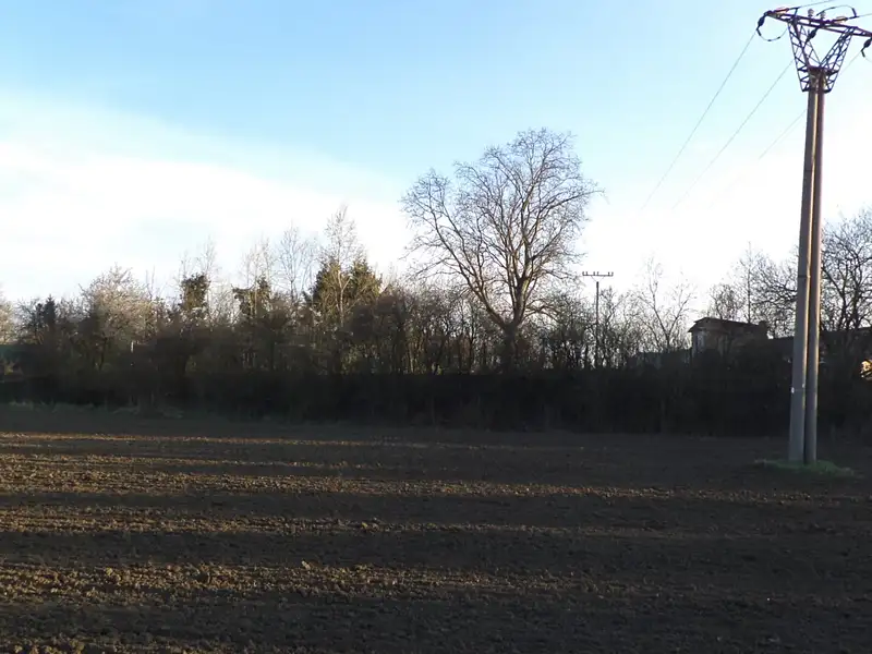 Dražba louky 508 m², Hulín – náhled fotky 2