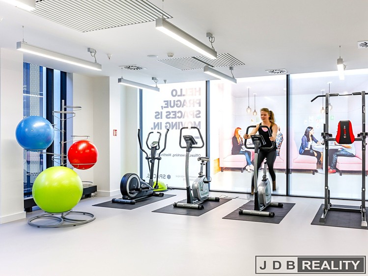 Pronájem komerčního prostoru, 110 m² (17 z 19)