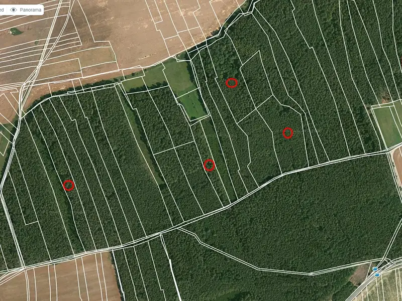 Prodej lesa 41358 m², Hromnice – náhled fotky 2