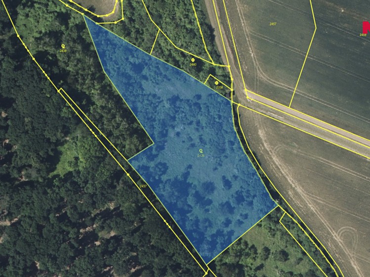 Ділянка на продаж, 7 746 м² (4 з 8)
