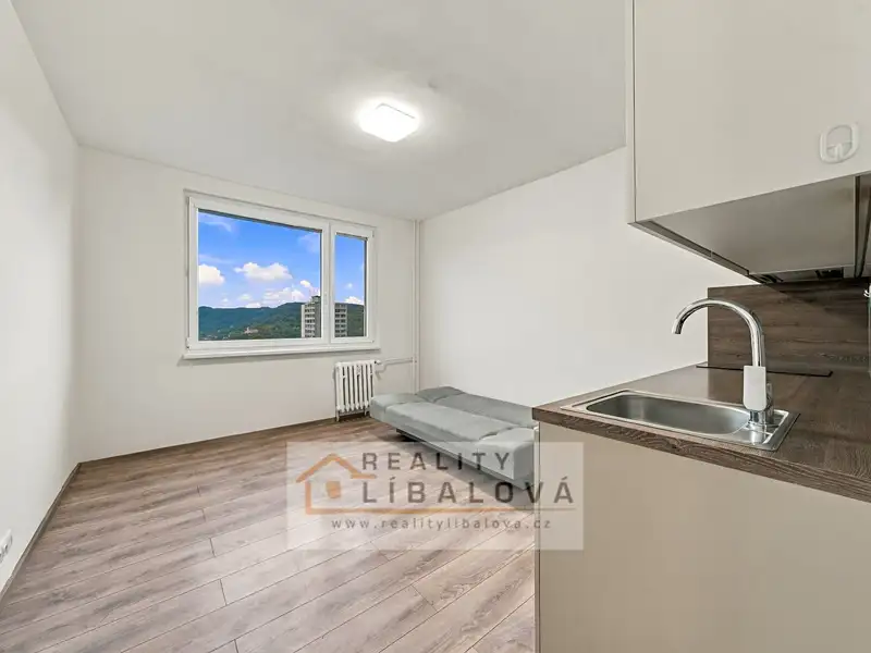 Pronájem bytu 1+kk 20 m², Ústí nad Labem – náhled fotky 2
