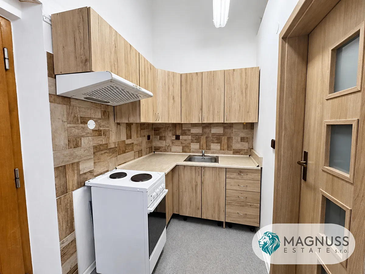 Pronájem bytu 1+kk 28 m²