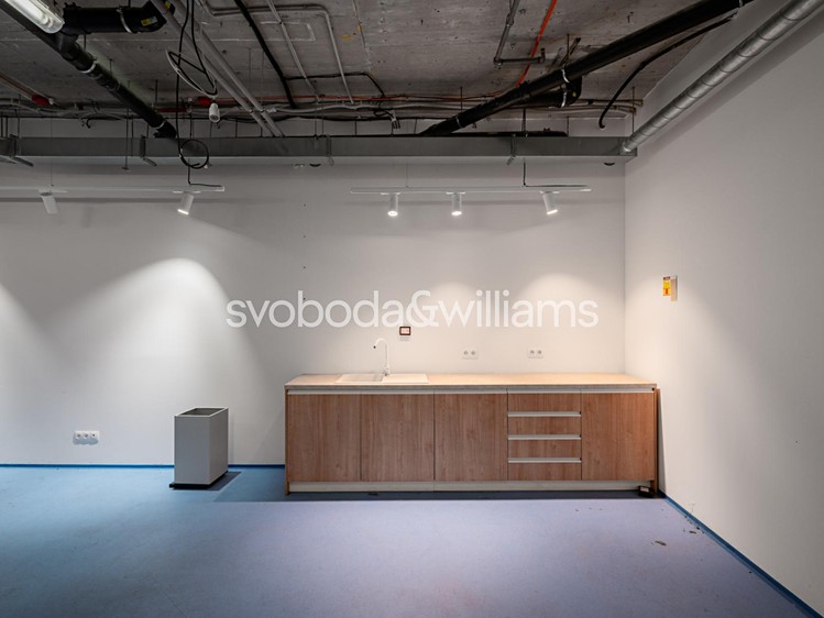 Pronájem komerčního prostoru, 348 m² (4 z 11)