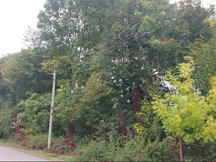 Grundstück zum Kauf, 2.004 m² (5 von 11)