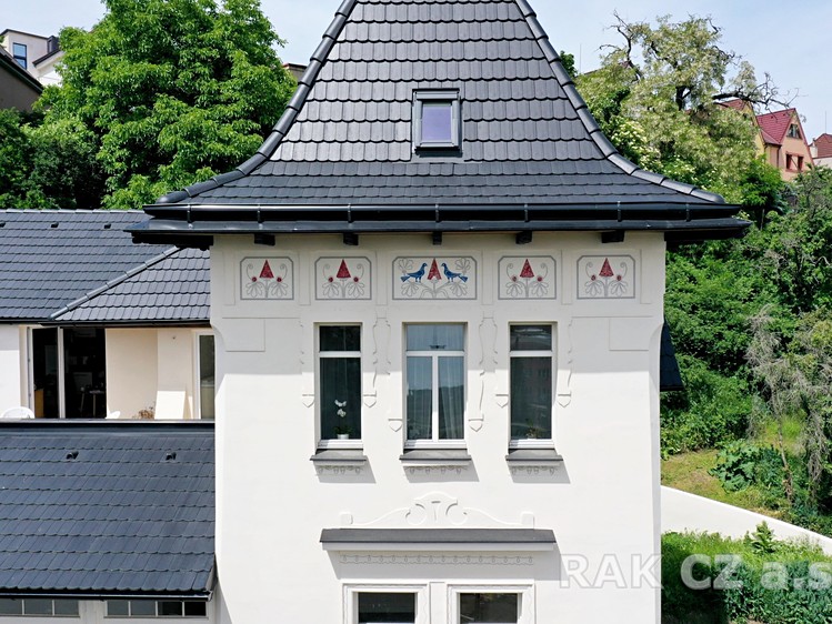 Prodej domu, 338 m² (4 z 19)