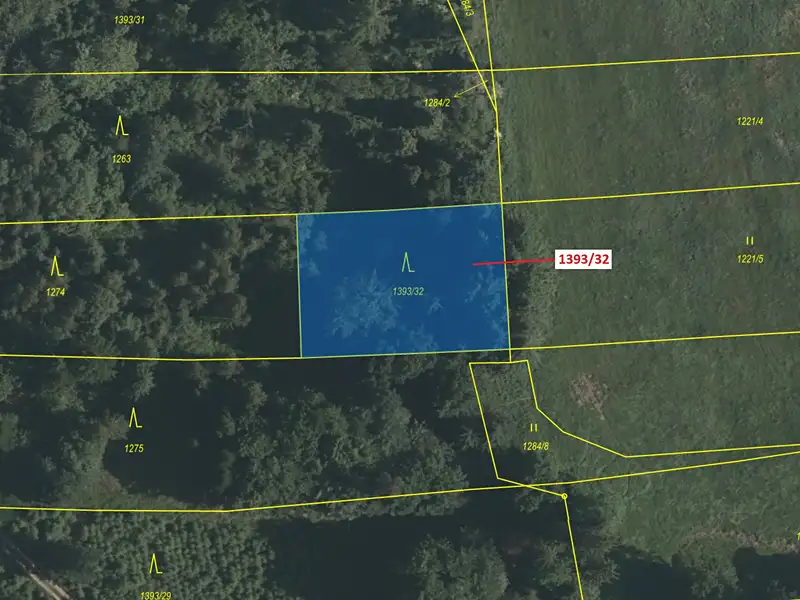 Dražba lesa 1388 m², Stehlovice – náhled fotky 2