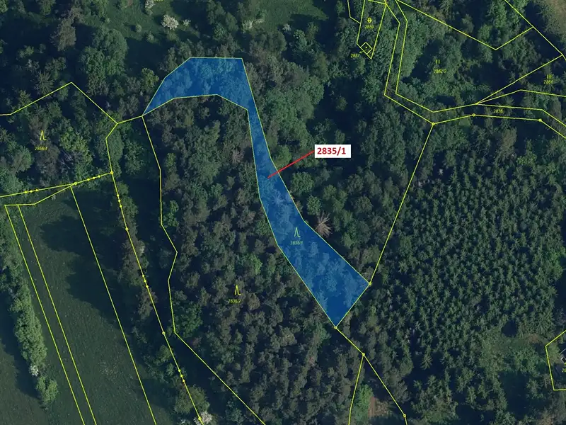 Dražba lesa 2117 m², Český Dub – náhled fotky 2