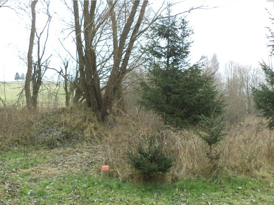 Dražba pozemku 1390 m², Horní Planá – fotka 1 z 3
