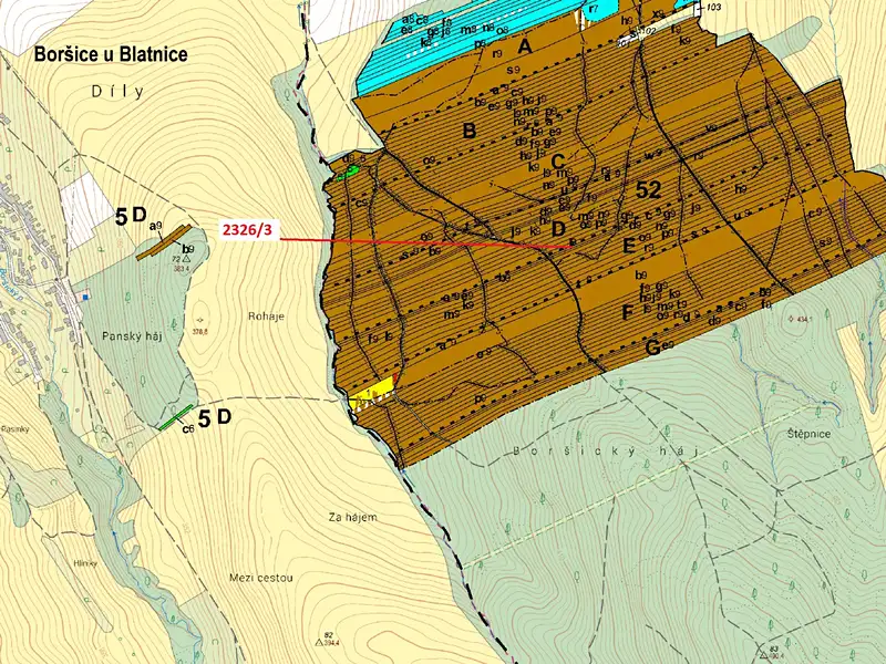 Dražba lesa 1084 m², Slavkov – náhled fotky 3