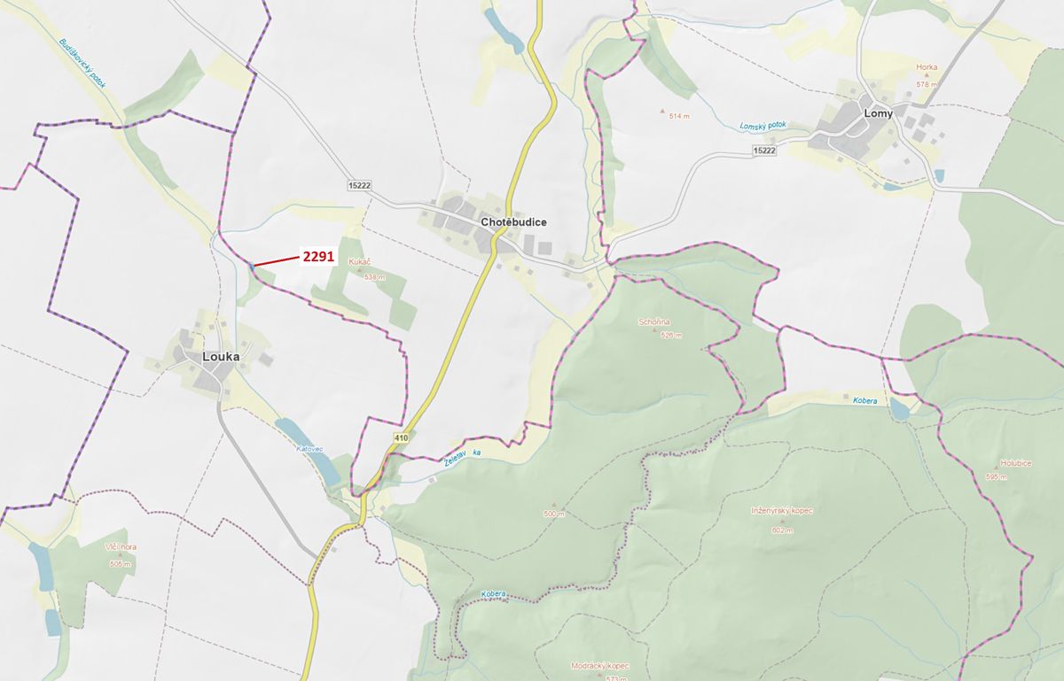 Dražba lesa 529 m², Chotěbudice – fotka 1 z 3