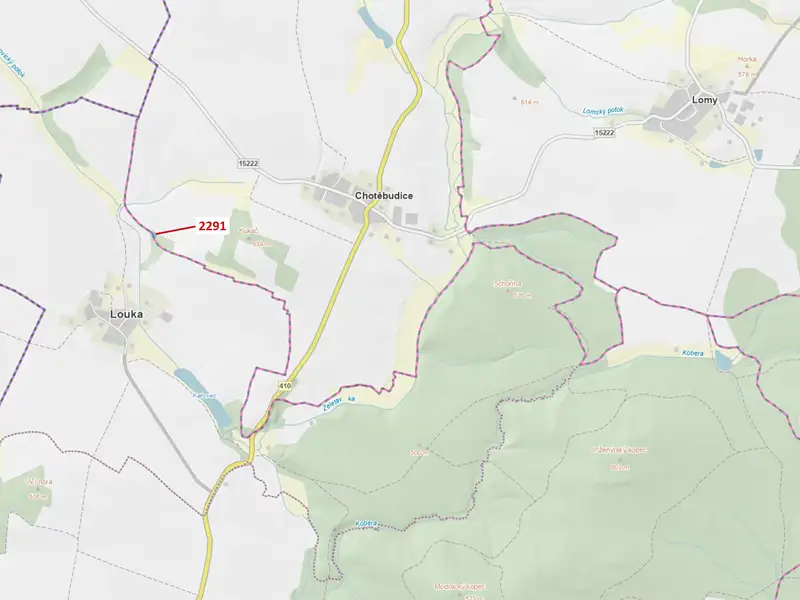 Dražba lesa 529 m², Chotěbudice – náhled fotky 1