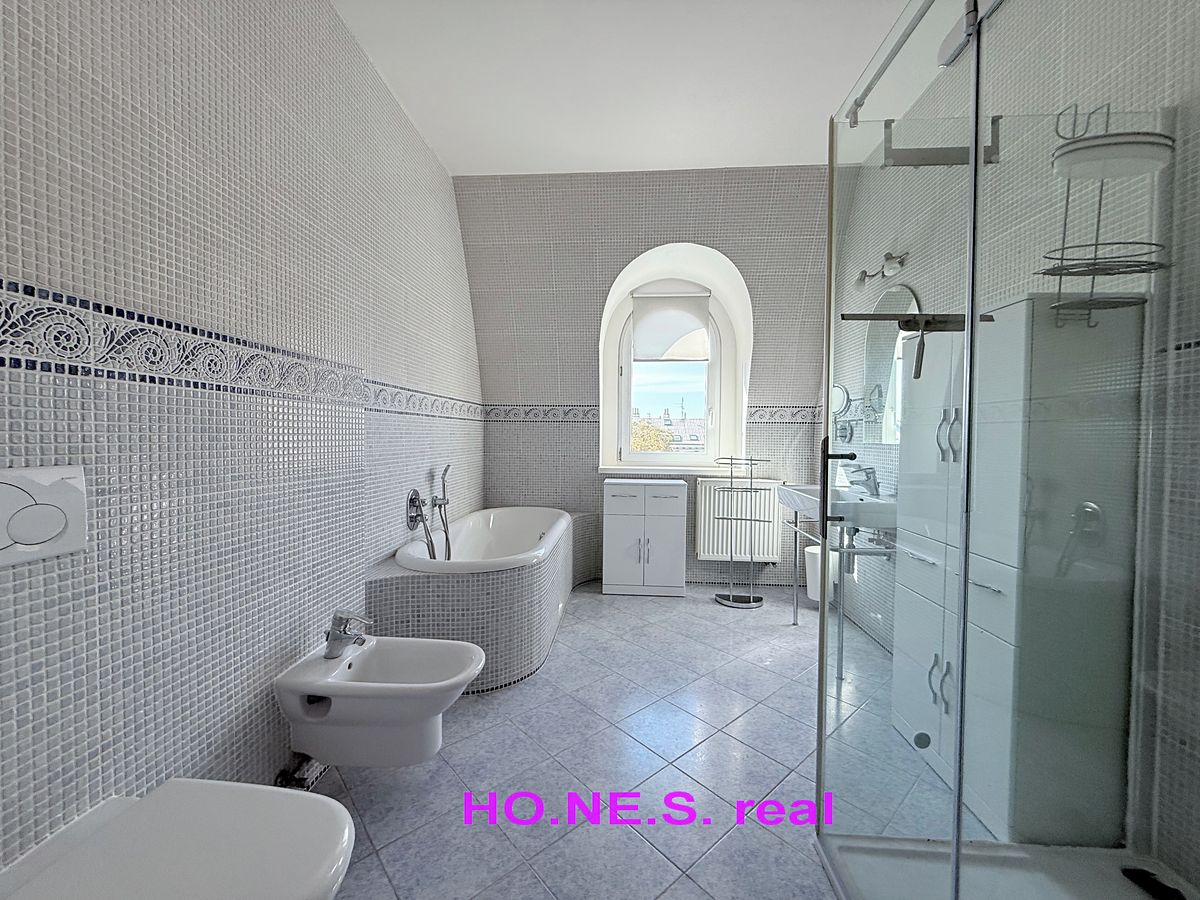 Pronájem bytu 6 pokojů a více 264 m² – fotografie 3