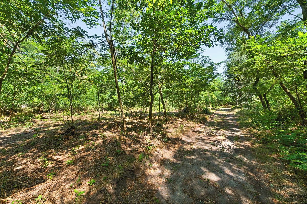 Prodej lesa 2859 m², Jeviněves – fotka 1 z 3
