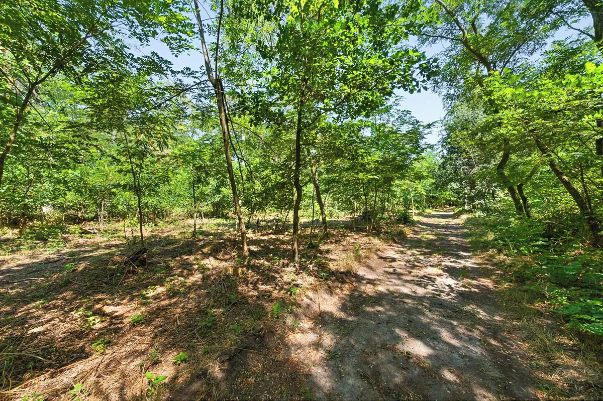 Prodej lesa 2859 m²