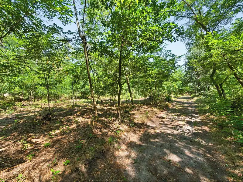 Prodej lesa 2859 m², Jeviněves – náhled fotky 1