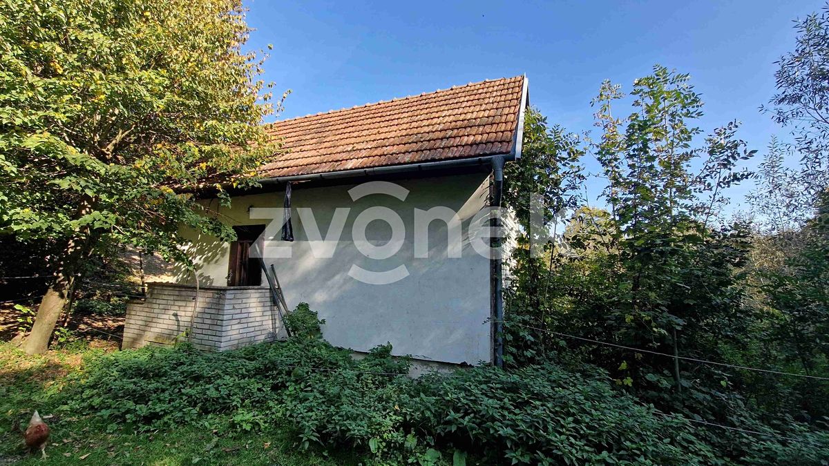Prodej rybníku (vodní plochy) 2136 m² – fotografie 3