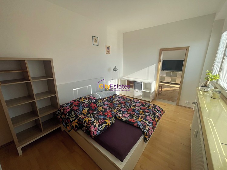 Pronájem bytu 2+1, 59 m² (3 z 23)