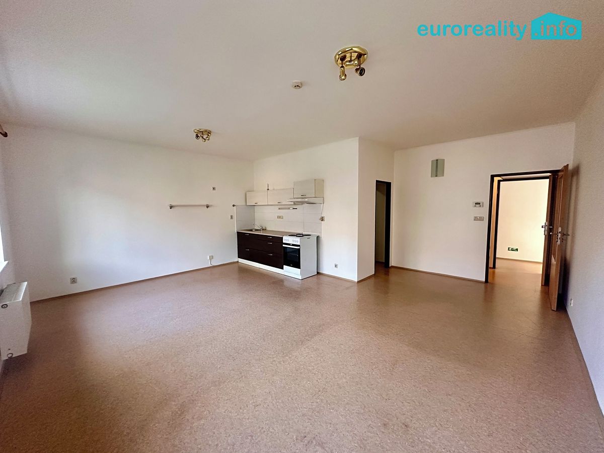 Pronájem bytu 1+kk 40 m² – fotografie 3