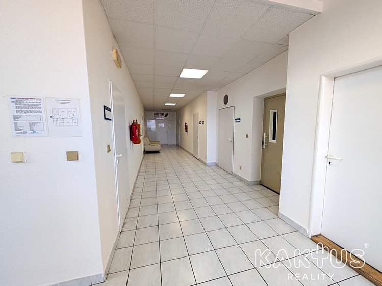 Комерційне приміщення в оренду, 19 м² (11 з 20)