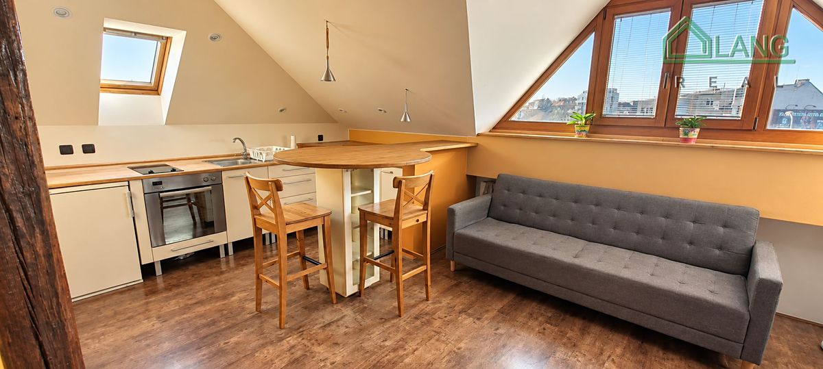Pronájem bytu 1+kk 50 m² – fotografie 2