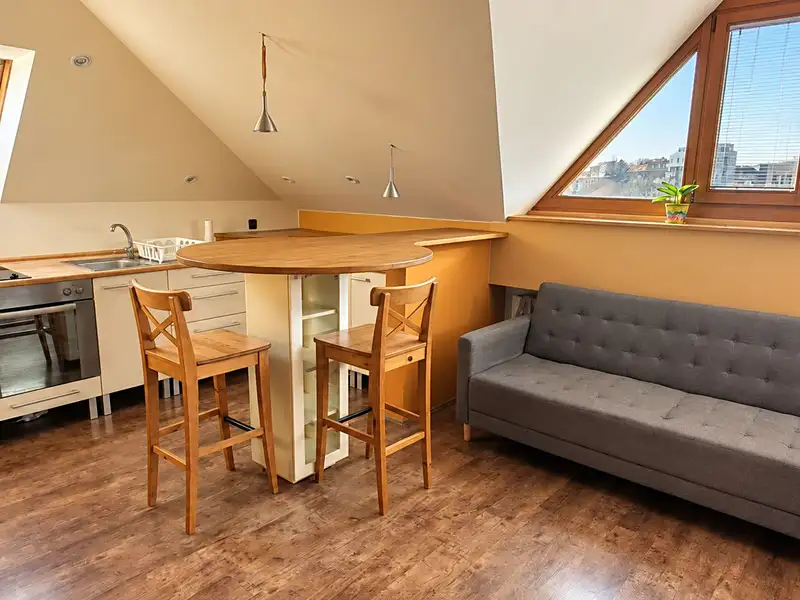 Pronájem bytu 1+kk 50 m², Brno – náhled fotky 2