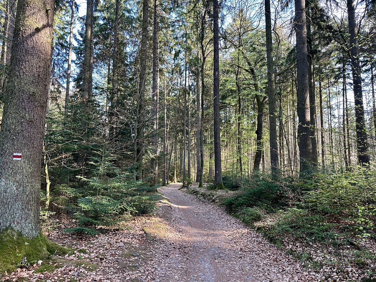 Prodej stavebního pozemku 1761 m² – fotografie 3