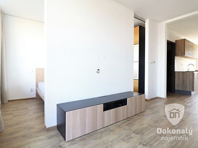 Wohnung 2+kk zur Miete, 47 m² (2 von 16)