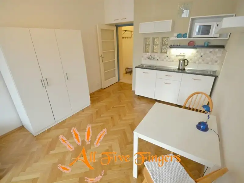 Pronájem bytu 1+kk, 30 m², Praha 3, Praha