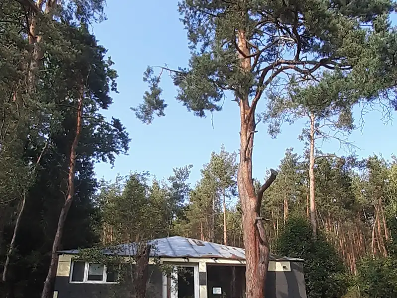 Prodej chaty 52 m², pozemek 402 m², Újezd nade Mží – náhled fotky 1