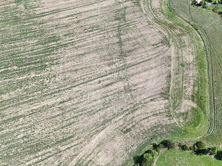 Prodej pozemku, 14 217 m² (9 z 21)
