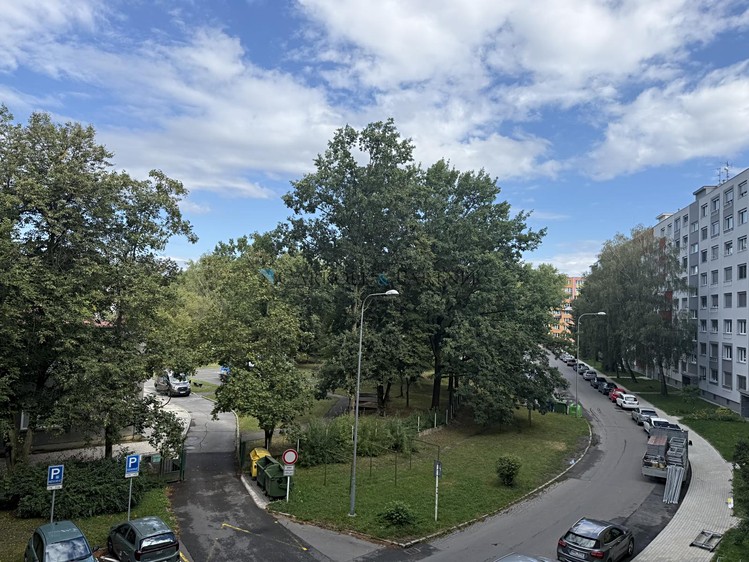 Pronájem bytu 3+1, 74 m² (16 z 17)