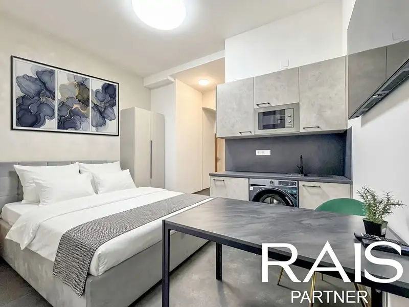 Pronájem bytu 1+kk 33 m², Brno – náhled fotky 3