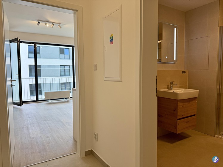 Pronájem bytu 1+kk, 35 m² (7 z 15)