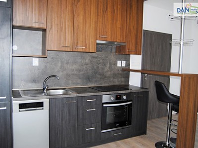 Wohnung 1+kk zur Miete, 29 m² (2 von 17)