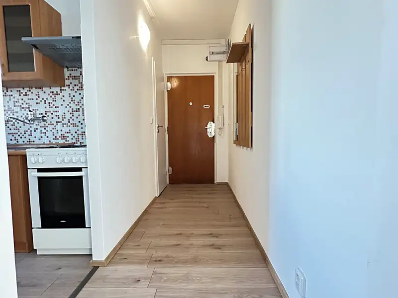 Pronájem bytu 2+1 58 m², Brno – náhled fotky 3