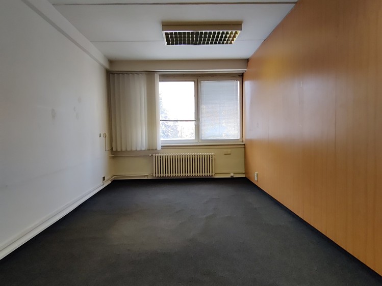 Gewerbefläche zur Miete, 509 m² (4 von 12)