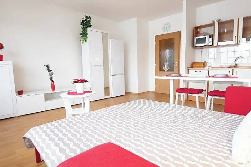 Pronájem bytu 1+kk 38 m², Brno – náhled fotky 3