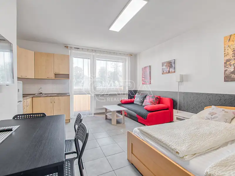 Pronájem bytu 1+kk 32 m², Trojanovice – náhled fotky 2