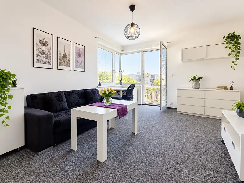 Pronájem bytu 1+kk 42 m², Plzeň – náhled fotky 1