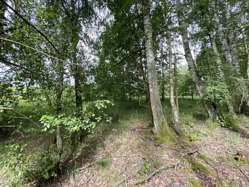 Dražba louky 1639 m², Čejetice – náhled fotky 3