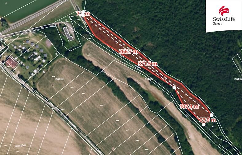 Prodej lesa 6071 m², Horní Dunajovice – fotka 1 z 3