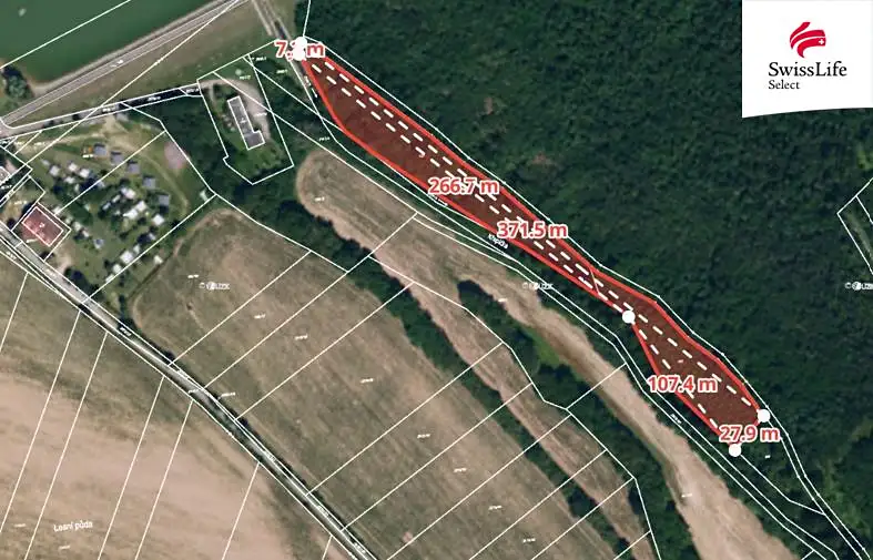 Prodej lesa 6071 m², Horní Dunajovice – náhled fotky 1