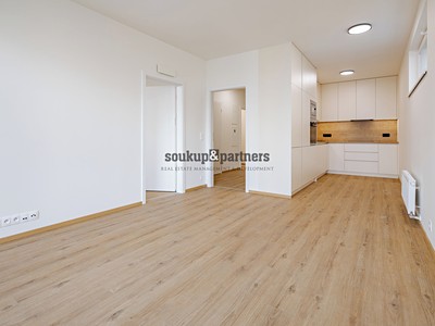 Wohnung 2+kk zur Miete, 53 m² (3 von 26)