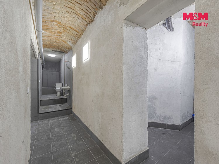Prodej komerčního prostoru, 110 m² (5 z 28)