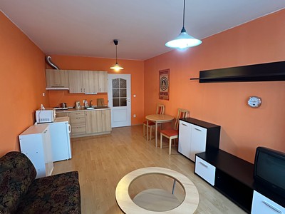 Pronájem bytu 1+kk 30 m²