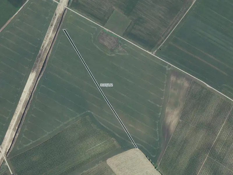 Prodej pole 5978 m², Mutěnice – náhled fotky 2